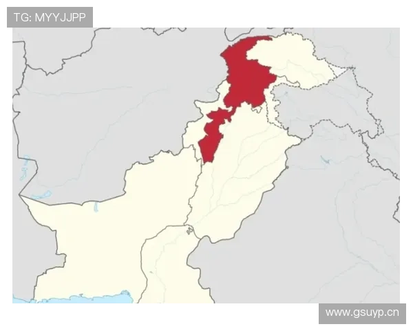 塔普索巴布基纳法索核心