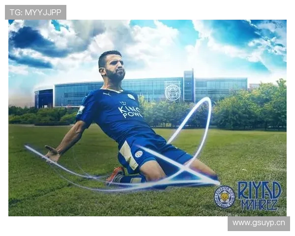 马赫雷斯技术全面性