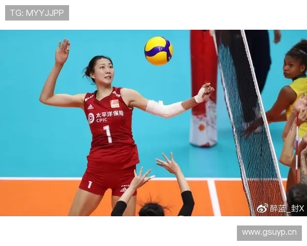 袁心玥家的猫都比我会挑奢侈品